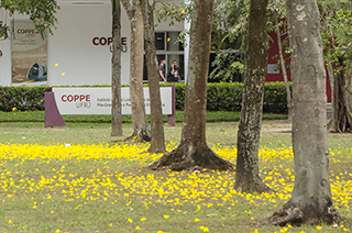 fachada coppe
